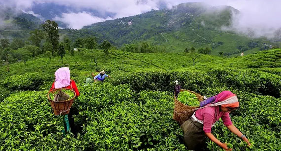 Munnar
